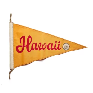 Fanion Hawaii